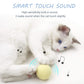 Cat Toy Interactive Ball Catnip Cat Training Toy