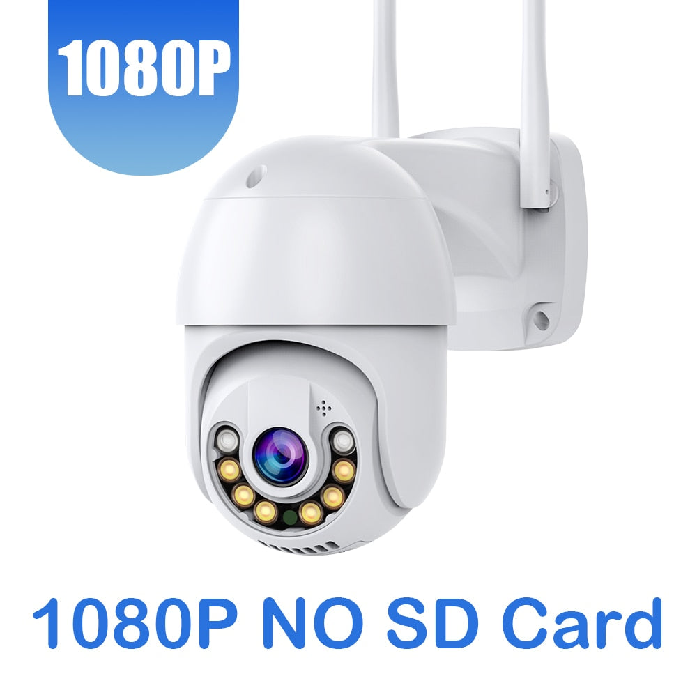 outdoor Security camera Protection